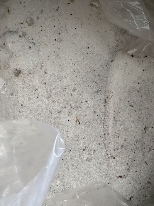 Продам сахар смётки с пола