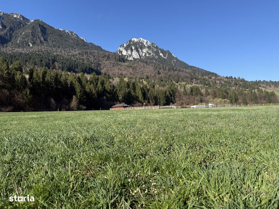 Teren intravilan In Zarnesti zona Plaiul Foii, asfalt si priveliste
