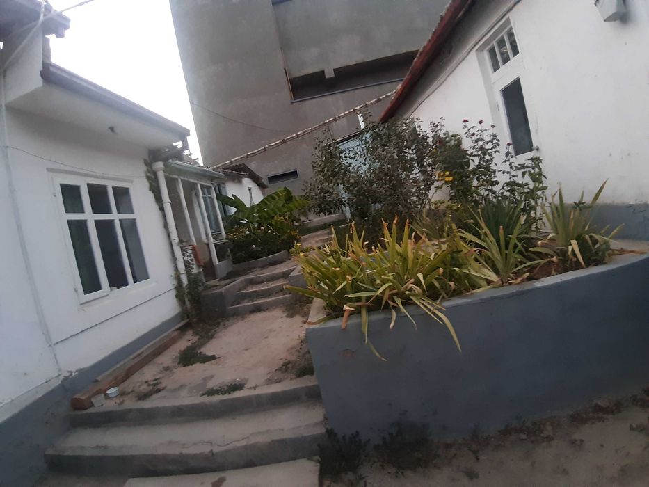 Срочно! Свой участок по ул. Олтинтепа. 6 сот. 37000 за сот. 222000 у/е