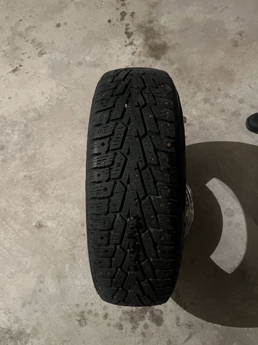 зимный покрышкк