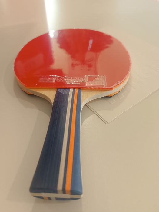 Paletă tenis de masă Yinhe N10 & Sanwei Target National