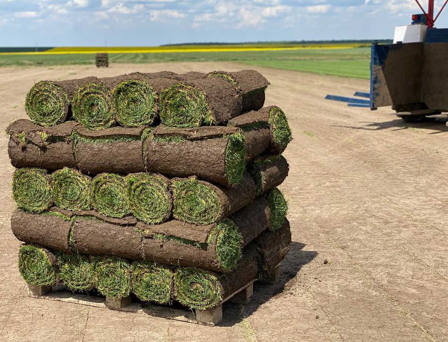 Soluții Complete: Gazon, Irigare, Montaj