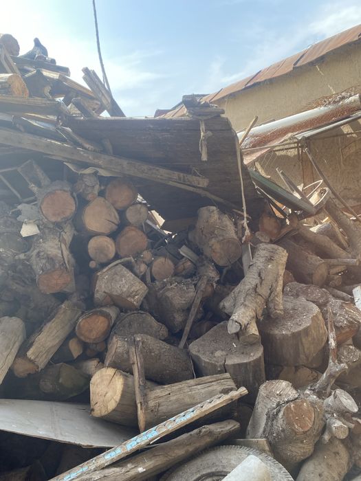 Taxta o’tinla bor sotiladi