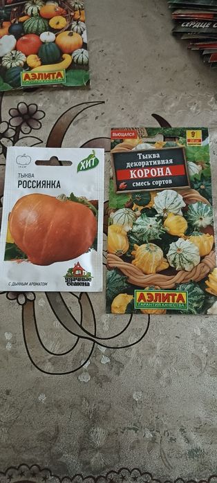 Семена тиквы. Разных сортов.