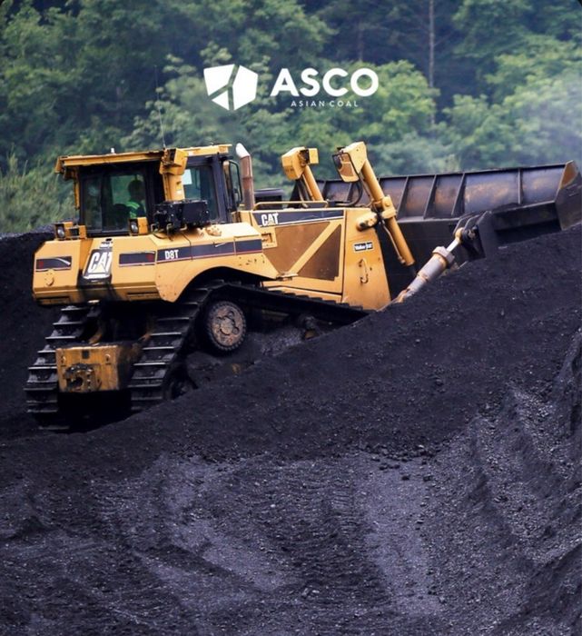 Shubarkol Komir Optom