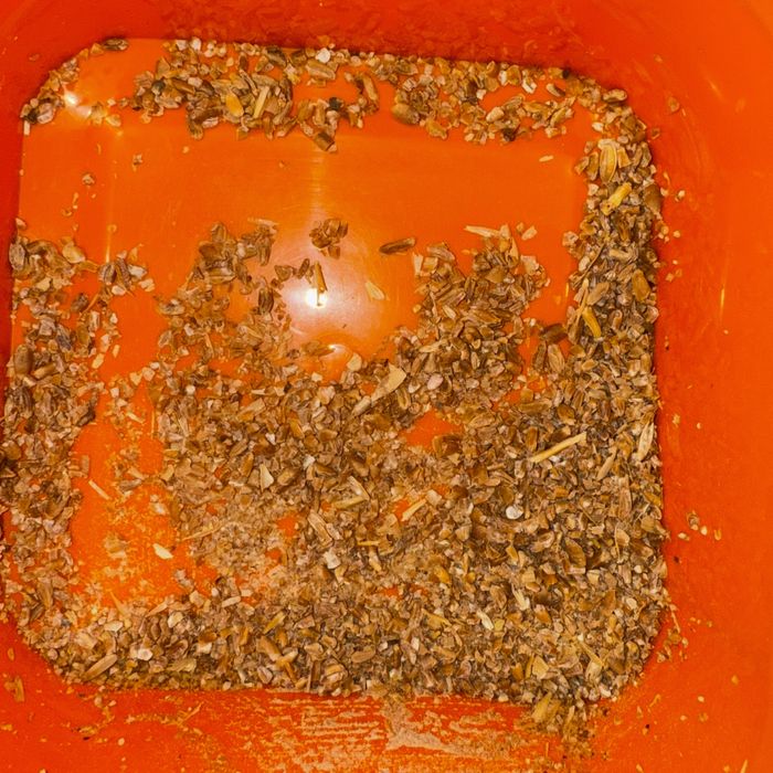 Арпа (ячмень), бидай (пшеница) , сечка сатылады