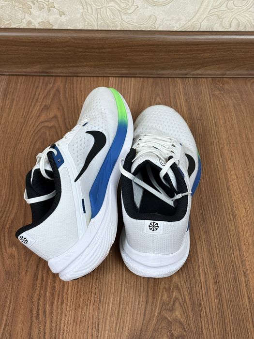 Кроссовки NIKE WINFLO 10