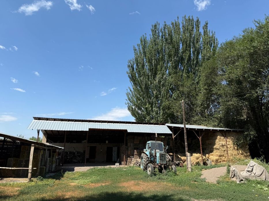 Продам яблоневый сад