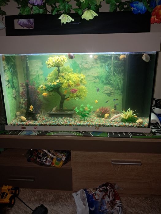 Acvariu pesti 150 litri