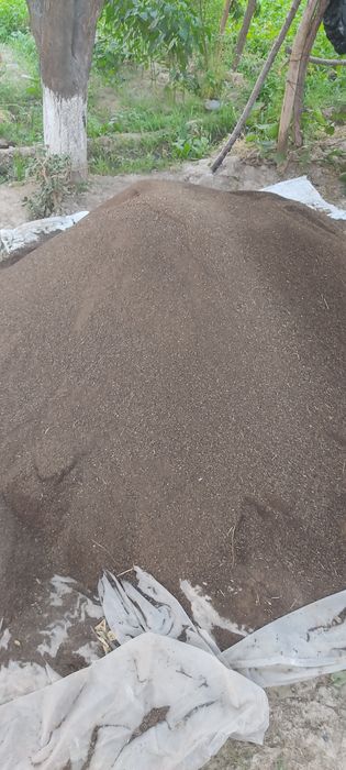 Biogoʻms/Биогумс