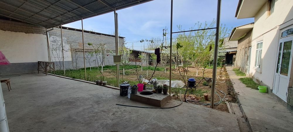 ХОВЛИ СОТИЛАДИ!!! котта иттифокда