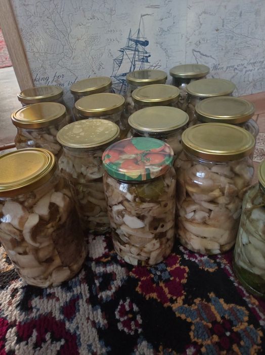 Продам маринованные грузди