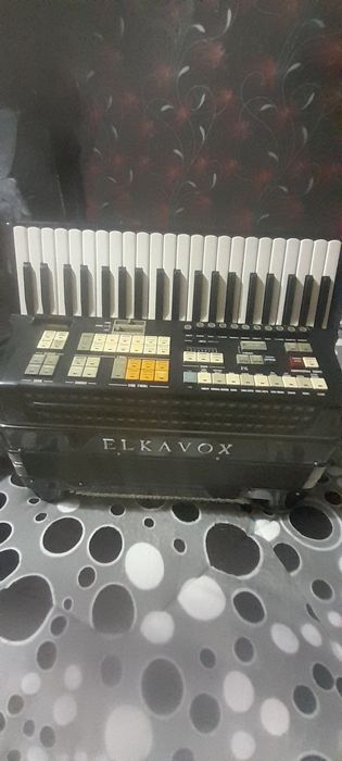 Acordeon de " colectie" midii  din fabricație