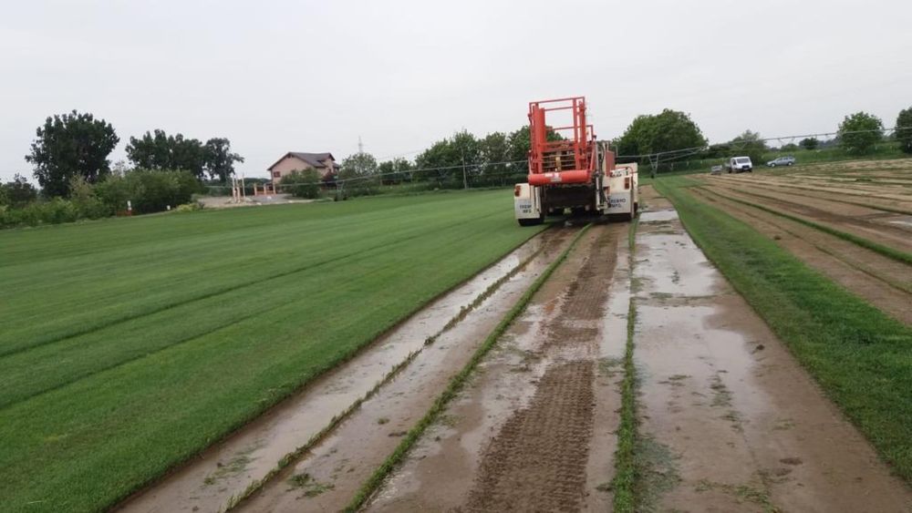 Gazon   Amenajari   Spati  verzi