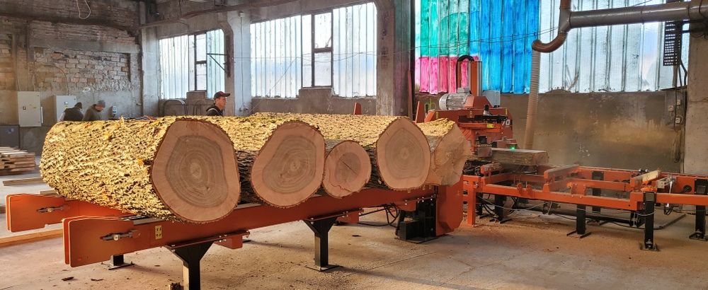 Frasin cherestea netivita uscata 8-10% de 27 si 50 mm