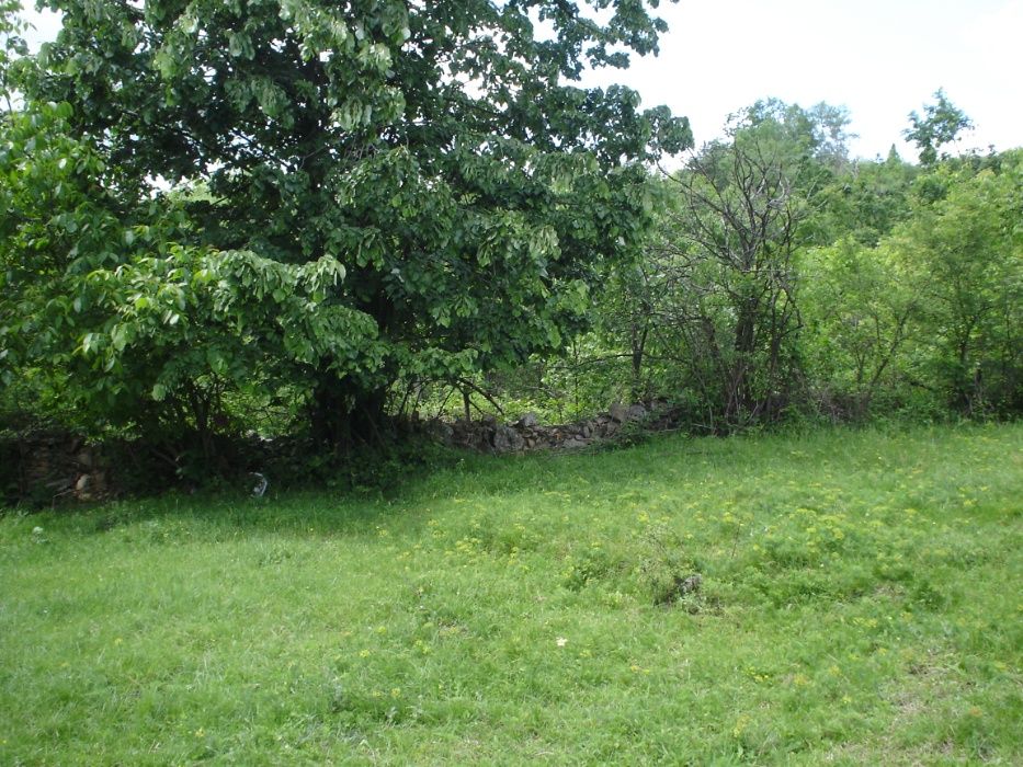 Продава се Парцел в Трявна - 2552 кв.м за 6 €/кв.м - Снимка #3