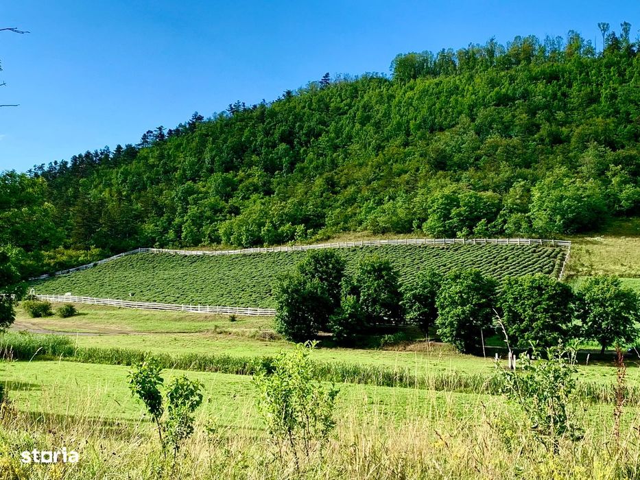 Teren De Vânzare
Dn14a, Târnăveni