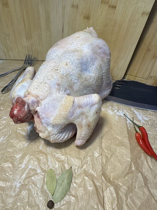 Куры-бройлеры домашние