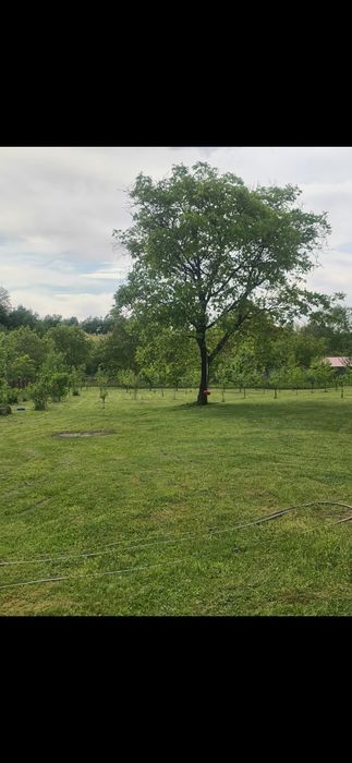 Casa de vanzare,7 dormitoare,2 bai,2 living,livada,incalzire centrala