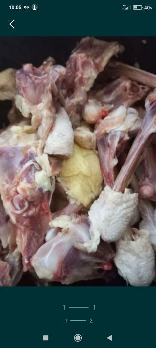 Продаю для собак и кошек фарш куриный