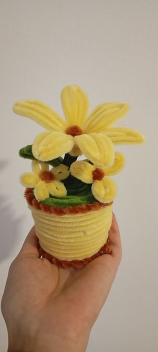 Вечни цветя в саксия