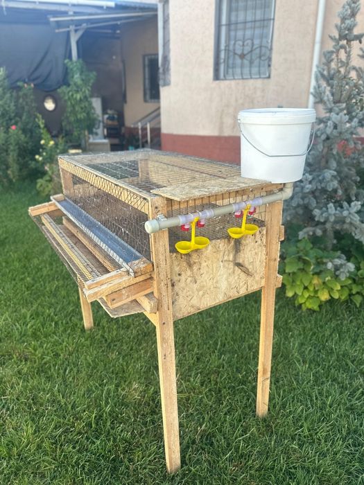 Бөдене Перепёлка