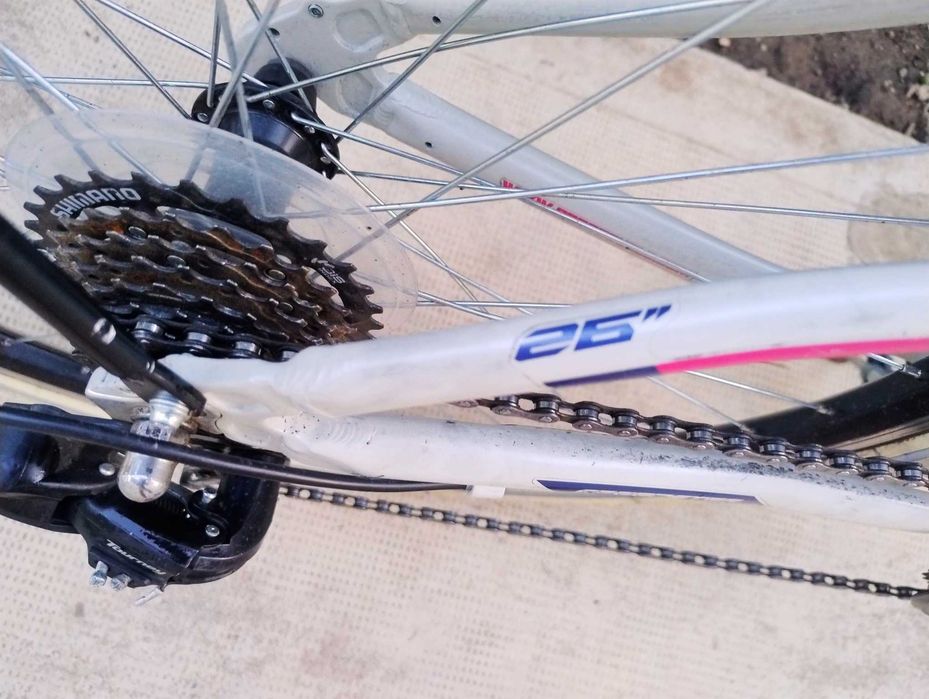 Bicicletă Cross Speedster, cadru fete/damă, anvelope Continental + SET BONUS