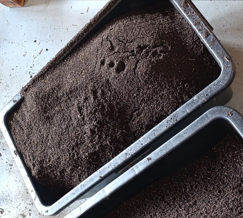 Biohumus / Vermicompost Pur - Ingrasamant Natural Humus de Râme