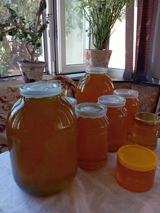 Натуральный мёд 100% и соты