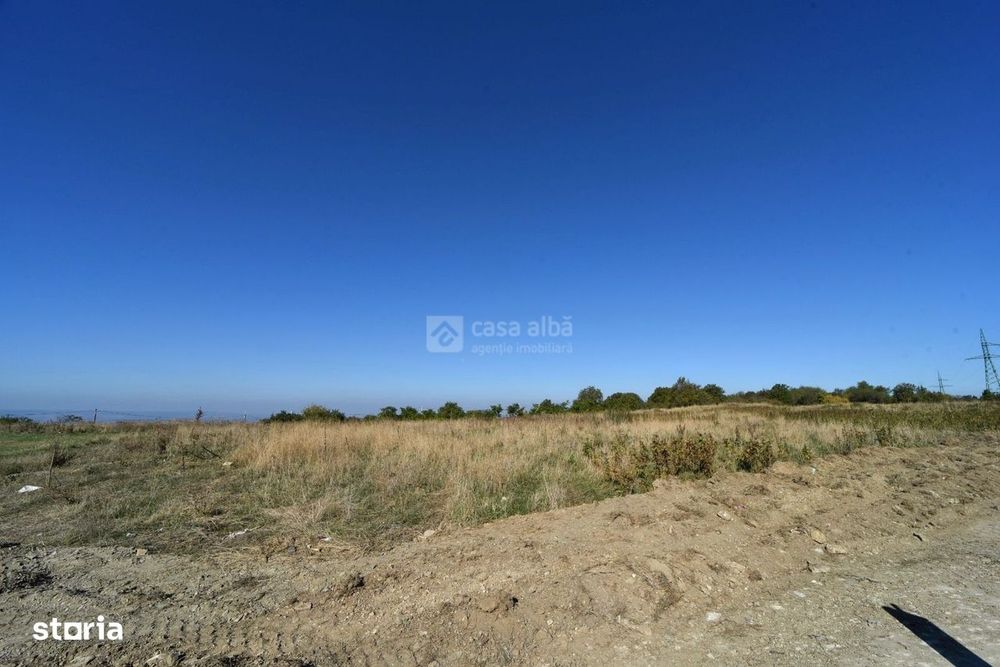 Barnova-Paun | Teren 10.000mp plan, 350m altitudine | POT 35%, CUT 0.9