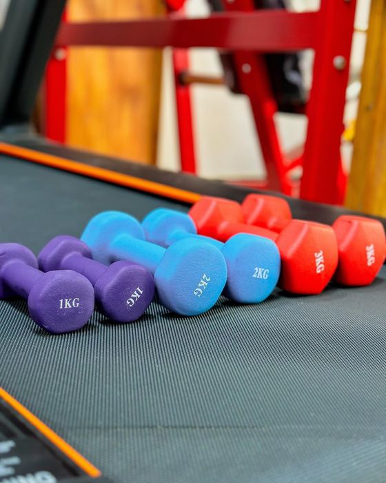 гантели женские от поставшиков