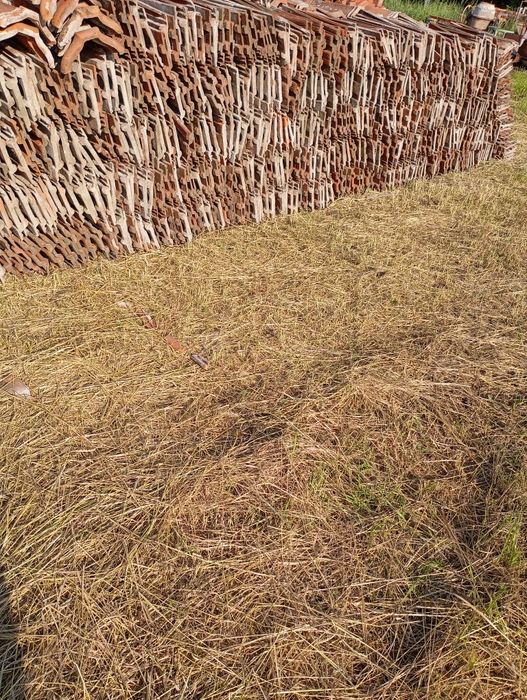 Țiglă Jimbolia 253