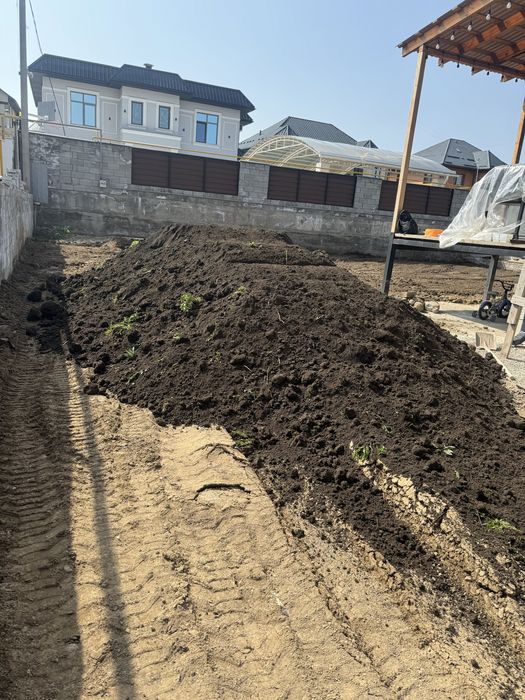 Чернозем рыхлый горный