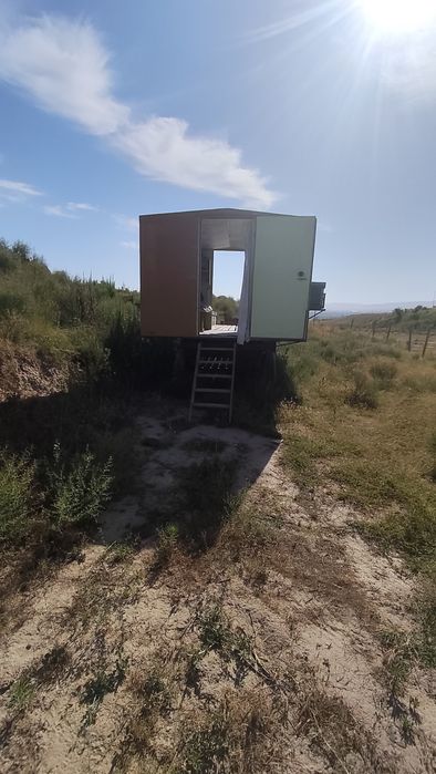 Tayyor biznes Asalari uyasi 75- 80 dona . Telyashkasi bilan