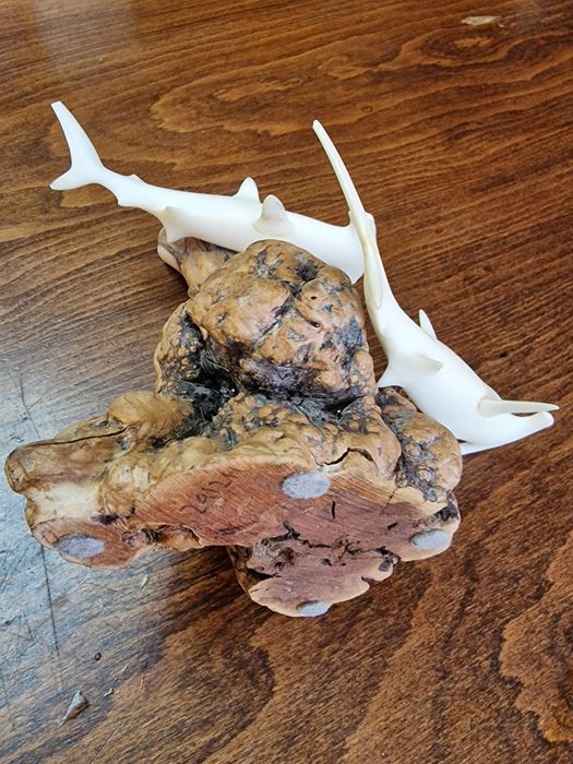 Скулптура на акули чук на Джон Пери от 1973г