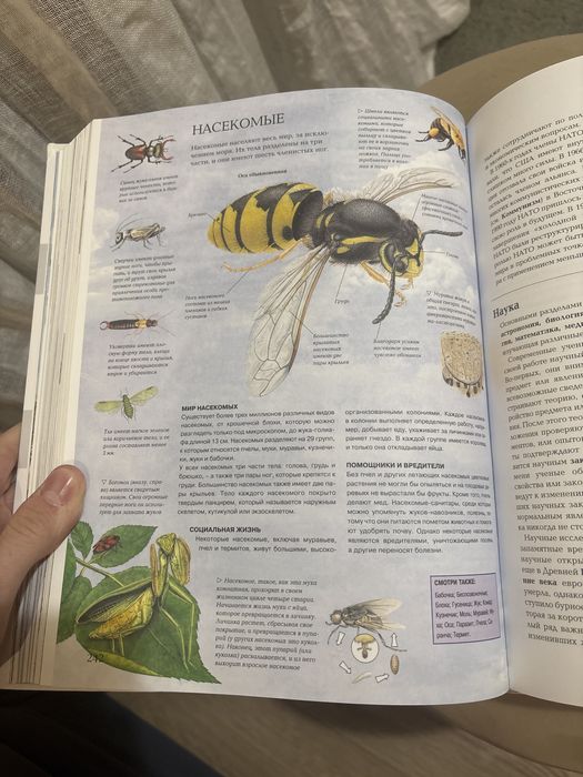 Я знаю всё! книга-энциклопедия