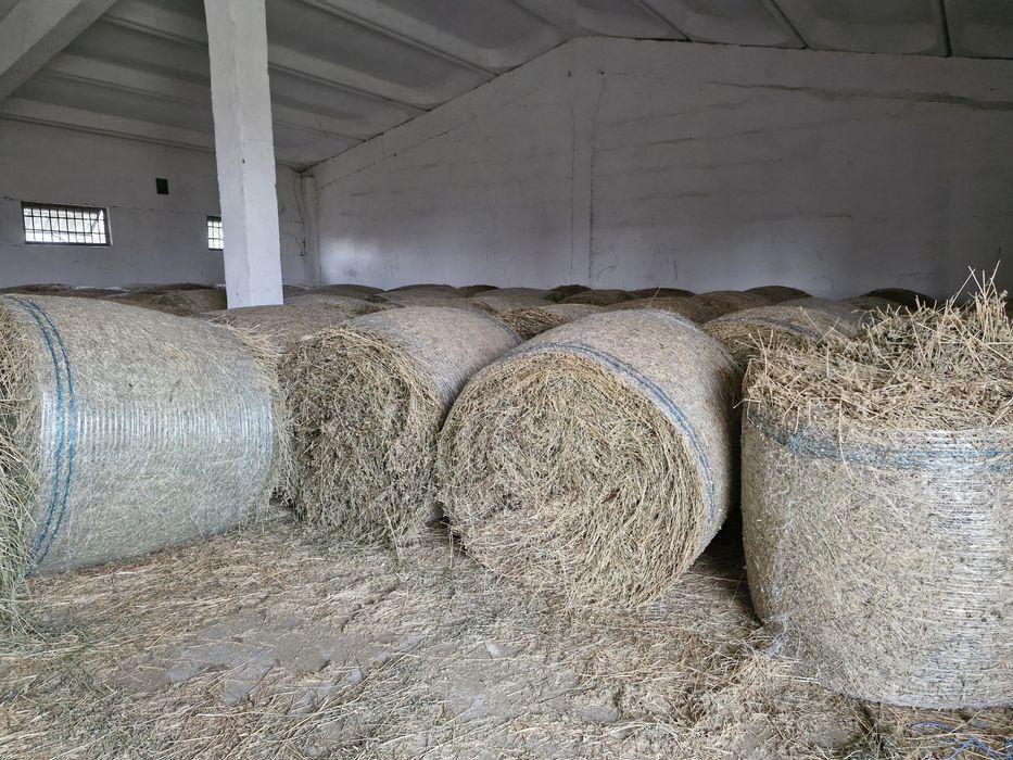 Vand baloti de lucernă