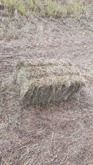 Тюки разнотравие 1000тг