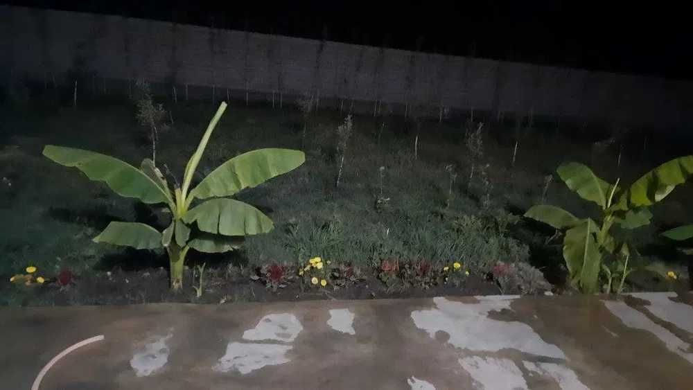 Тошкент вилояти Бука тумани