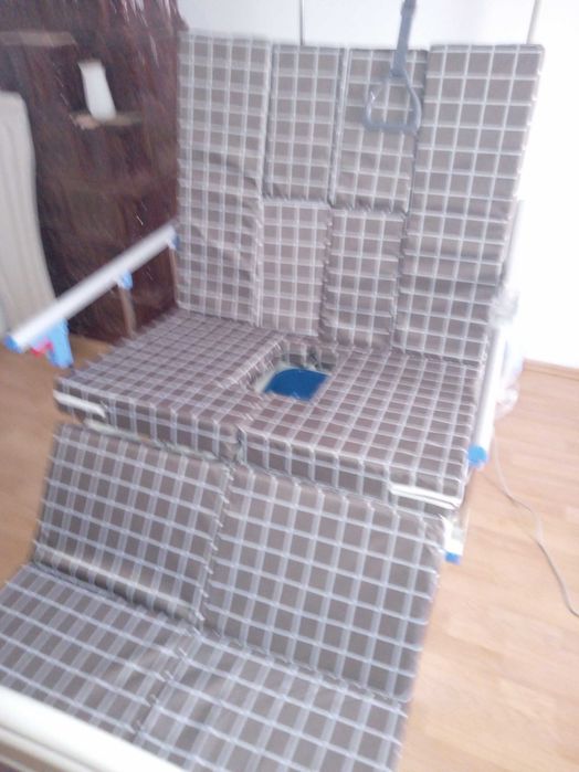 Pat electric profesional