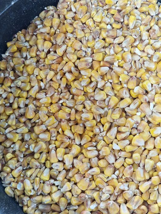 Зерно - Кукурузы
