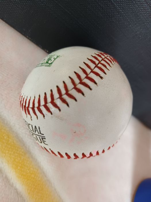 Minge Baseball Official League Dick's