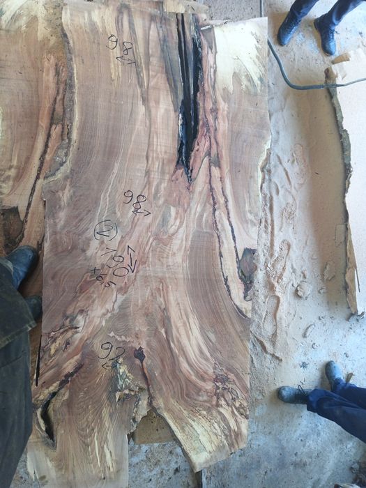 Blaturi mese deosebite