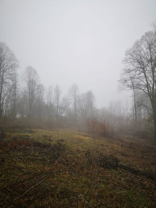 Teren intravilan 3.186 mp – Sat Vărmaga, Certeju de Sus, Hunedoara – luminiș la poalele muntelui