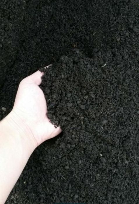 Kaliforniya qizil chuvalchangi va biogumus