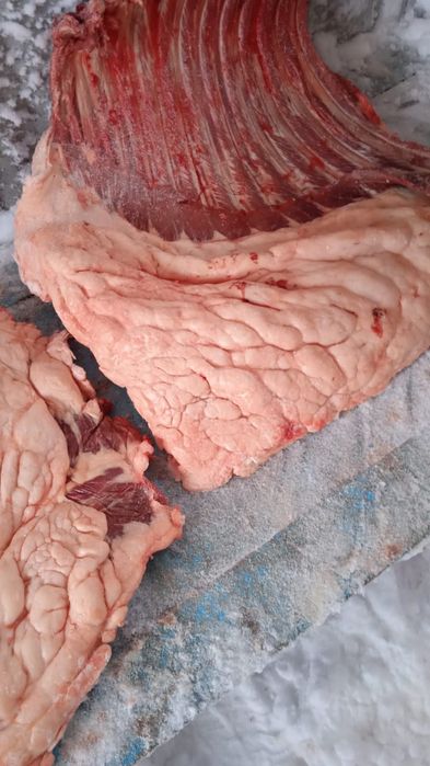 Мясо Кониный доставка бесплатно