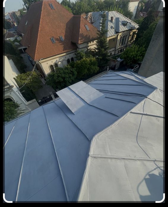 Vopsit  acoperișuri