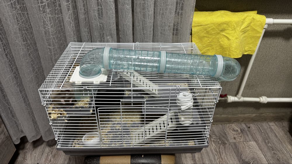 Продам хомяка с клеткой