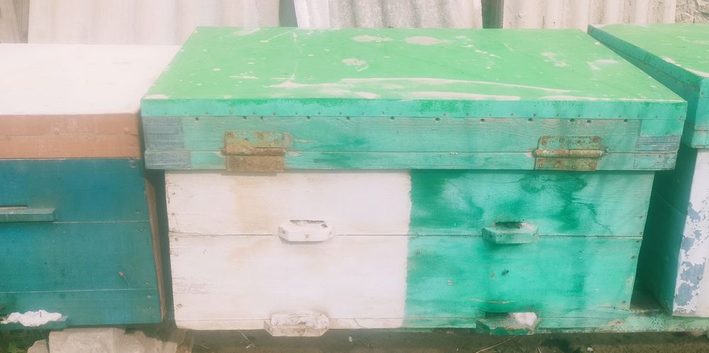 Асал ари Сотилади