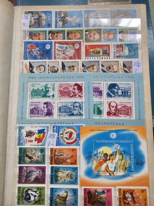 Trei clasoare pline cu timbre, România, nestampilate